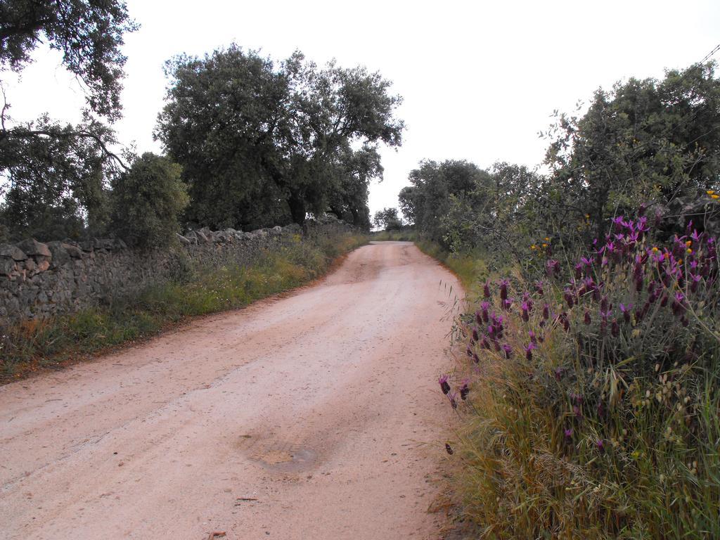La Venta Del Charco