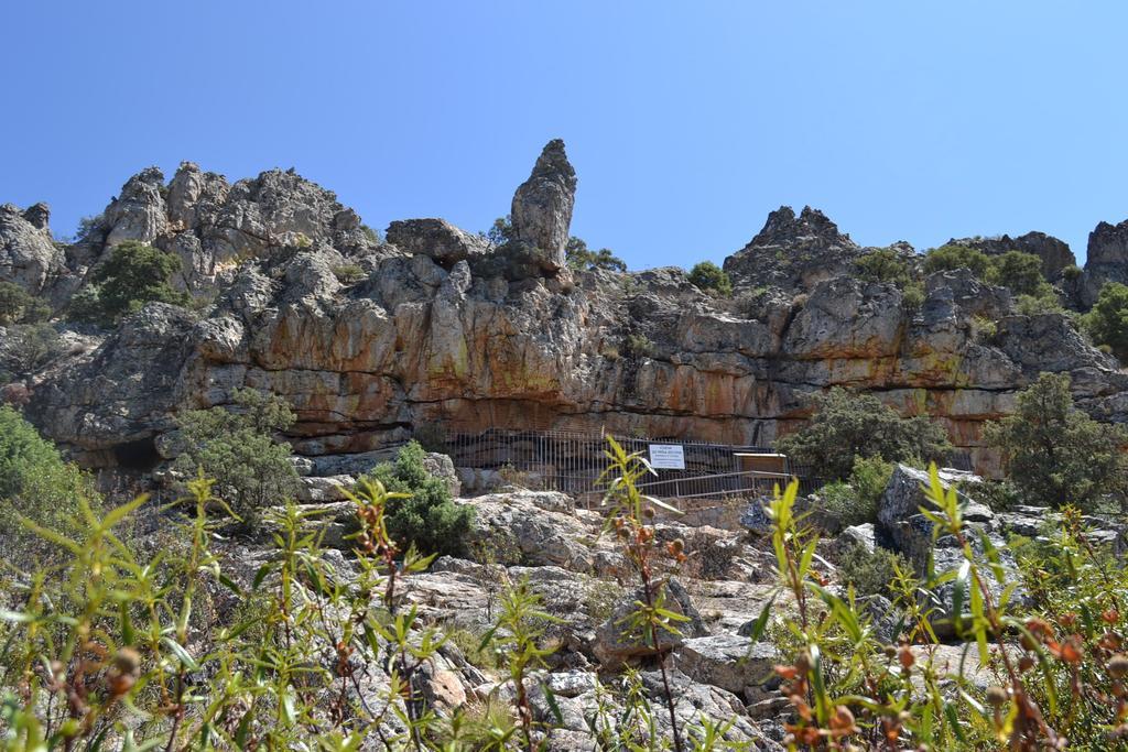 La Venta Del Charco *